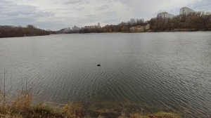 Донецк. Октябрь 2024, переход  между 2 и1 городским ставками, парк Щербакова