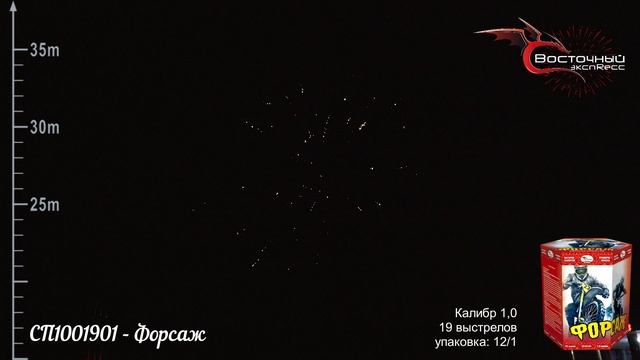 СП1001901 - Форсаж