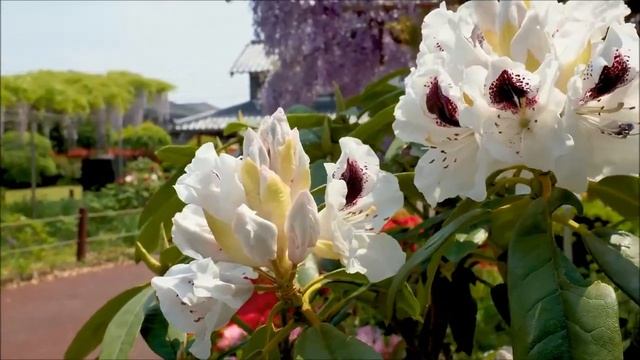 Путь ко спасению смотреть онлайн