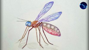 Сказка про Комара Комаровича - длинный нос и мохнатого Мишу - короткий хвост / Д.Н. Мамин-Сибиряк