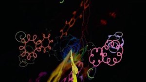 "Не верь не бойся не проси" (Вера Самарская)