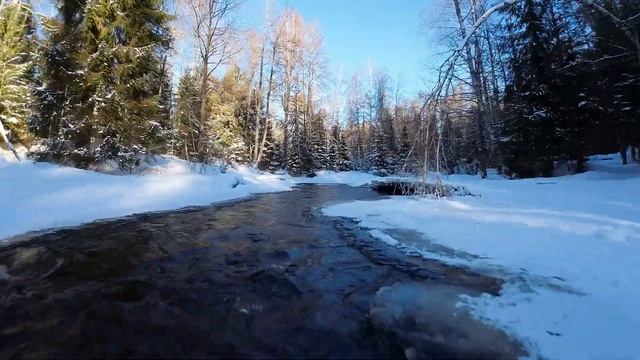 Линдуловская роща. DJI Avata winter fly