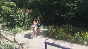 Катаюсь на ламе