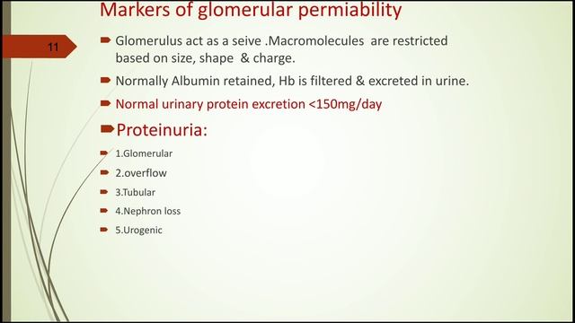 RENAL FUNCTION TESTS - REVISION - BDS смотреть онлайн