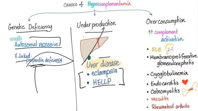 Hypocomplementemia (Low Plasma Complement Level) смотреть онлайн