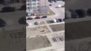 Бора в Новороссийске!?