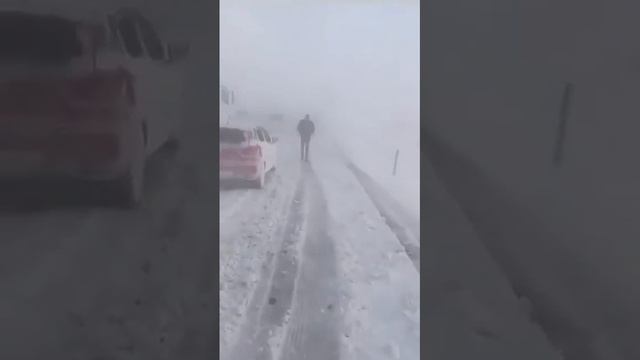 24.11.2024. ❄️❄️❄️❄️ Обилен снеговалеж покри Турция-- лошото време парализира 32 провинции на страна