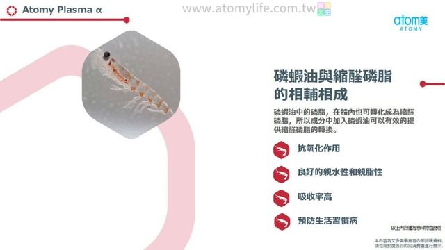 艾多美 思優升膠囊｜アトミ プラズマ アルファ｜Atomy Plasma α｜🇯🇵日本原裝進口｜讓你擺脫低效率人生