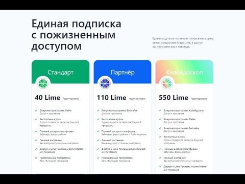 Какой вариант подписки выбрать Платформа MagicLime Academy - цифровая эко-система для вашего бизнес