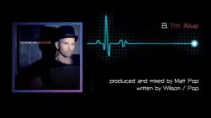 Peter Wilson - Pulsation 15 track album sampler