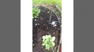 Минеральное удобрение  ""Ракета"" Попробуйте! 💥Вбил и забыл👍😊