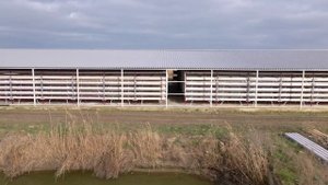 Раковая ферма