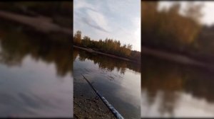 Без названия