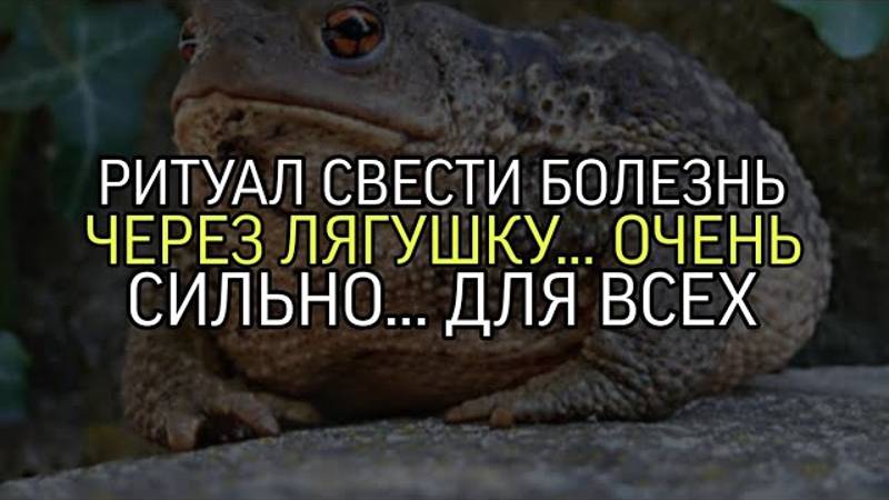 РИТУАЛ СВЕСТИ БОЛЕЗНИ ЧЕРЕЗ ЖАБУ...ОЧЕНЬ СИЛЬНО...ДЛЯ ВСЕХ...