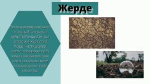 Пестицидтердің қоршаған орта мен адам денсаулығына әсері.Биология 9-сынып.