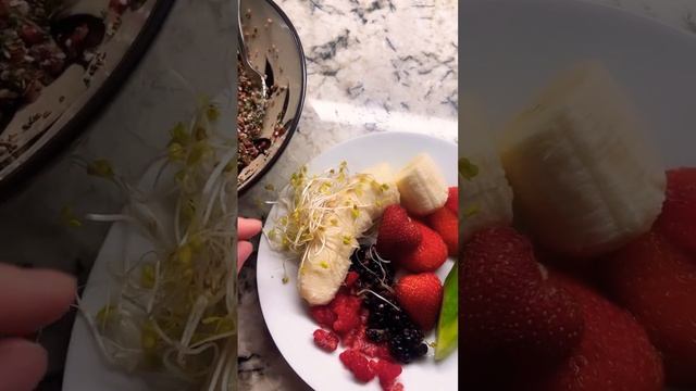 Чем я кормлю попугаев | Нюша и Глашечка ссорятся 🦜🍓🥬 #смешныепопугаи #смешныеживотные