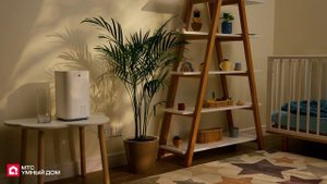 Умный ультразвуковой увлажнитель МТС Умный дом: инструкция по подключению.