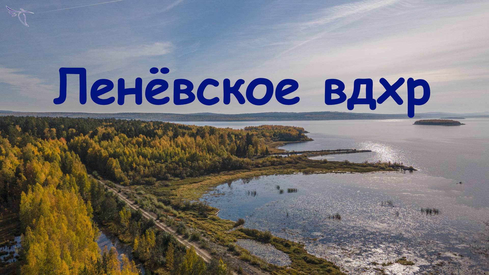 Ленёвский пруд. Вид с высоты.