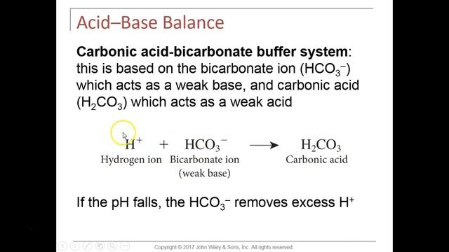 Chapter 27 Lecture Video смотреть онлайн