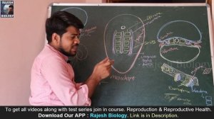 Mesoderm differentiation | Coelom formation | epimere | Human Reproductive System#12| Rajesh Biolog