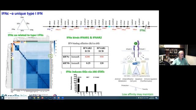 "The Politics of Interferons and their Receptors" by  Dr. Paul Hertzog смотреть онлайн