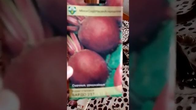 САМЫЕ ТЕМНЫЕ ВКУСНЫЕ СОРТА СВЕКЛЫ!!! Сорта вкусной свеклы, которая отлично хранится всю зиму!