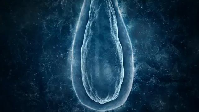 VICHY-Dercos Aminexil SP94 2005.mpg смотреть онлайн