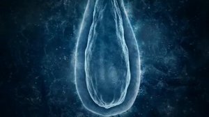 VICHY-Dercos Aminexil SP94 2005.mpg