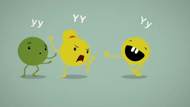 Г.Мендель ашқан белгілердің тұқым қуалау заңдылығы. 9 сынып смотреть онлайн