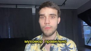 МОЙ ОПЫТ 90 ТРИПОВ НА МУХОМОРЕ. КАК Я ВЫЖИЛ И СТАЛ СИЛЬНЕЕ. МУХОМОРНЫЙ ТРИП РЕПОРТ.