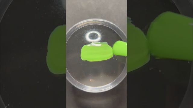 Just the tip 🧡💚🥵 Easy Neon French Tips with stamper method #easynailart #easternails #neonnails смотреть онлайн