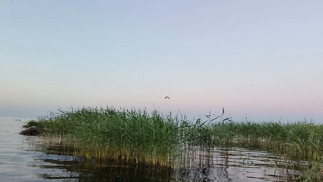 о Близнецы