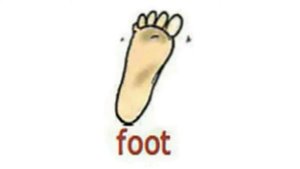 How to Pronounce Foot in British English