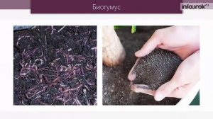 Перспективы биотехнологии