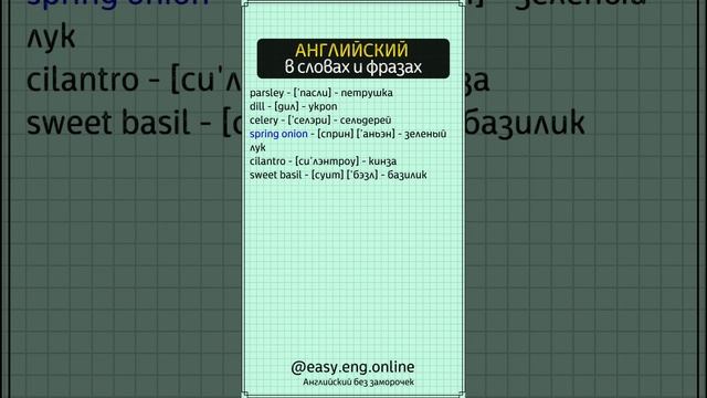 ⚡ ВИДЕОУРОКИ АНГЛИЙСКОГО ЯЗЫКА | ⭐ Аудирование по английскому языку для начинающих