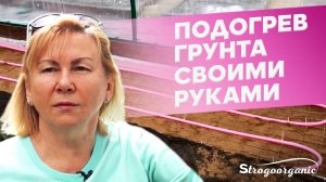 Сделали подогрев грунта в теплице своими руками / Ученицы Strogoorganic