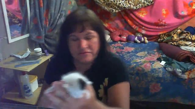 A MÃO DE DEUS É PESADA isso é só o começo смотреть онлайн