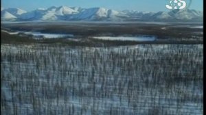 Загадки древности : Судьба неандертальцев