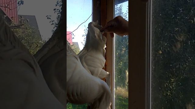 Вот так рождается произведение! смотреть онлайн