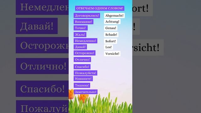 Отвечаем одним словом! Немецкий для всех!