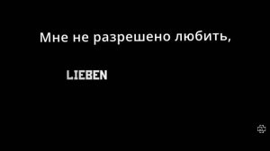 rammstein  - was ich liebe   (рамштайн)