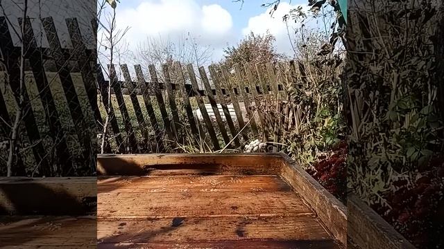 Обробка біпіном.як краще.інструкція