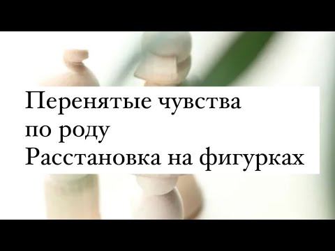 Расстановка на фигурках самому себе. Перенятые чувства по роду. Расстановки по Хеллингеру.