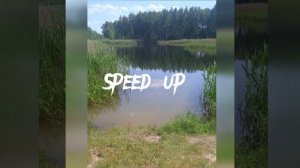 //буду твоим пёсиком//speed up// пошлая Молли//