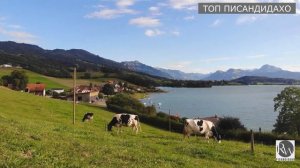 Садои най / найбазм / мусики точики