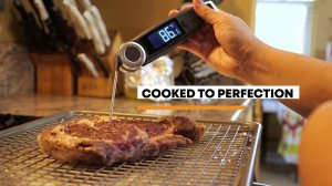 Introduction to ChefsTemp Finaltouch X10 - The World's Best Meat Thermometer