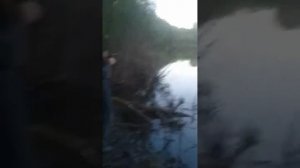 Поймал сома на 2 500 кг.