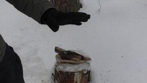 Нож TERRA Petrified Fish. Уличный тест