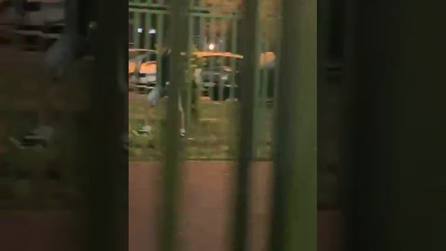 Подборка грибников и кладоискателей р-н #соколинаягора #вао