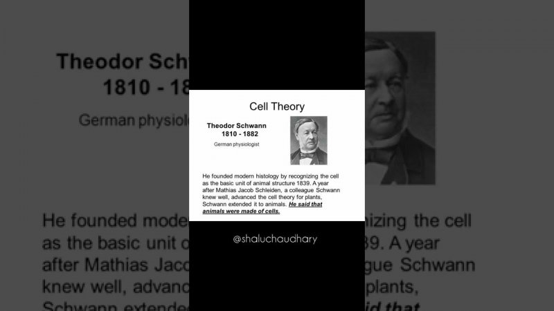 cell theory